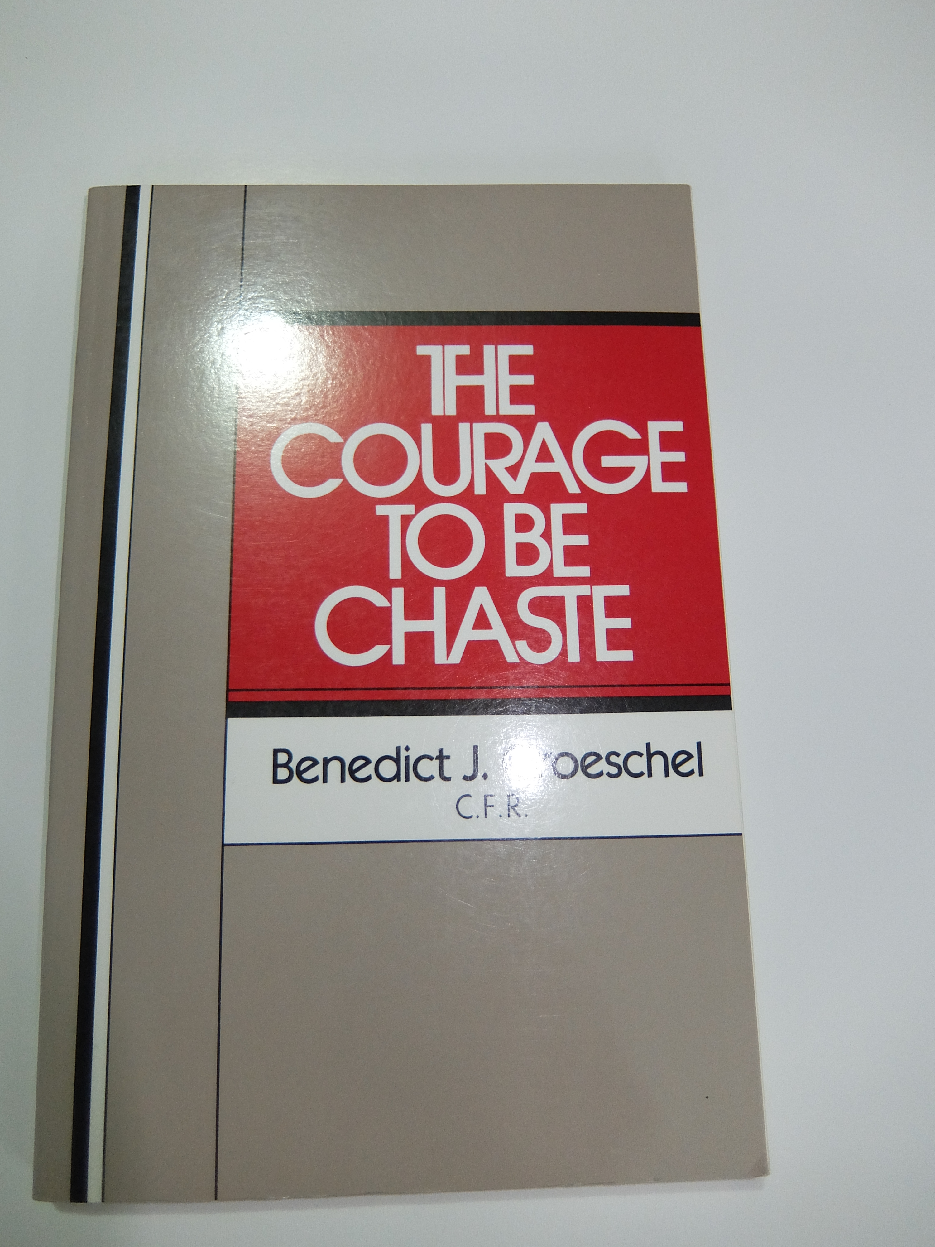 The Courage to be Chaste Image